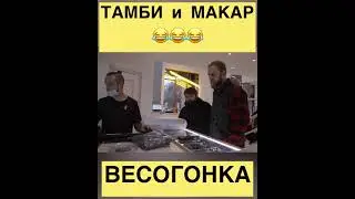 ТАМБИ и МАКАР / ВЕСОГОНКА / СМЕШНЫЕ МОМЕНТЫ