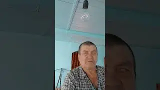 Все пойдет своим чередом!