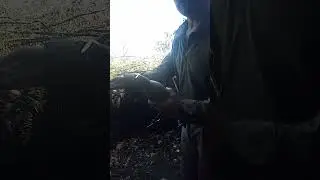 Смерть ворогам від мисливців України!