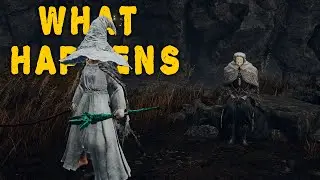 What Happens If you Try to Kill Thiollier in Elden Ring Shadow of the Erdtree
