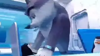 🤨