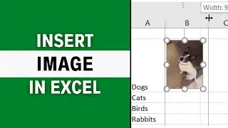 How to Insert Image in Excel Cell | LATEST GUIDE