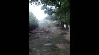 сел тавильдара.