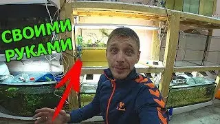 ЗАПУСТИЛ АКВАРИУМ ПАЛЮДАРИУМ!!!