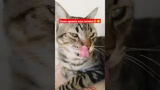 Quem aguenta essa carinha!