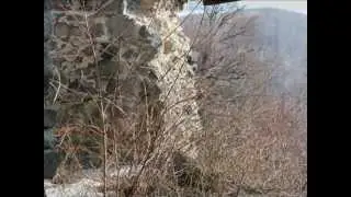 Невицький замок
