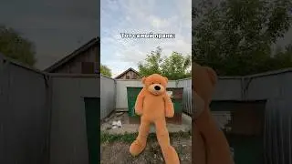 Готовься старуха