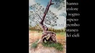 Il libro degli altri