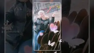 13 ноября 2022 г.