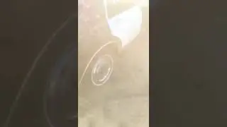 My Old 1989 Caprice