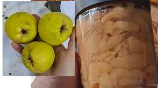 Quince Apple 🍏 Recipe || How to preserve quince ||Kashmiri Style Bum Choonth muraba