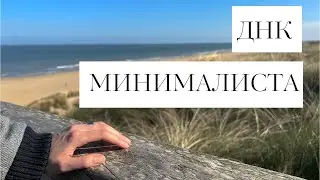 Минимализм: стиль жизни или гены?