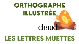 Orthographe illustrée : les lettres muettes
