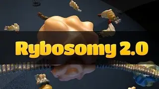 Gdzie powstają rybosomy?