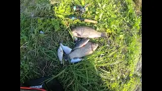 Мормышинг первые караси