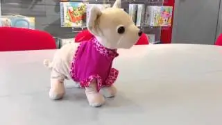 Интерактивная Собачка Chi Chi Love