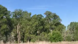 Якшимбетово.