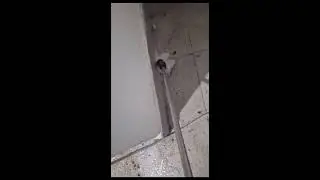 הדברה נגד טרמיטים בדירה על ידי קידוחים - 055-937-8507 - המדביר שמציל