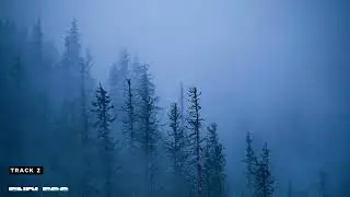 𝐬𝐚𝐝 𝐬𝐩𝐫𝐢𝐧𝐠...