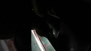 Стук коробка+двс