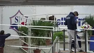 Eldorado d'Elle - Vainqueur du Championnat de France des mâles de trois ans