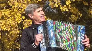 Листья желтые