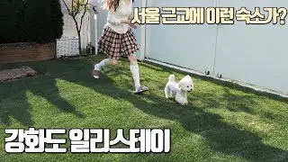국제커플 | 바쁜 일상 중 떠나는 힐링 여행 첫번째 날 (1/2) | 서울 근교 강화도에 이런 숙소가 있다고? | 강화도 애견동반 숙소 일리스테이 |