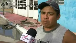 Reportense karnales, son sean gachos..