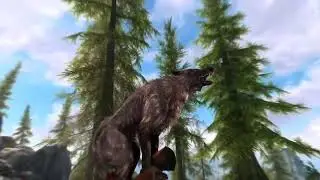 The Skyrim Crotch Stab Maneuver
