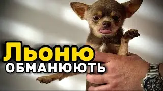 Льоню обманюють