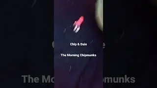 The Morning Chipmunks (pt.2) | Tywan Young Jr (ComputerSmasher97's Victim)