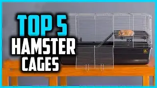 ✅Top 5 Best Hamster Cages in 2024