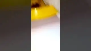 Первый день.