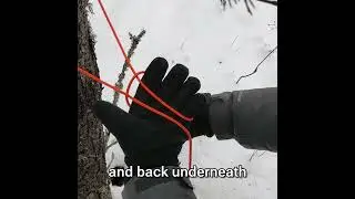 The Siberian Hitch