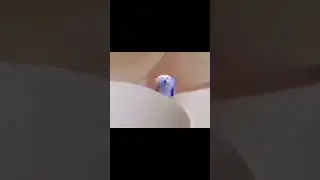 marshmallows #shorts #edit #meme