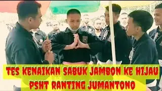 PSHT || Tes kenaikan sabuk jambon ke hijau psht ranting jumantono