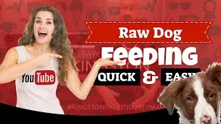 Raw Dog Feeding for 7 month old Doberman