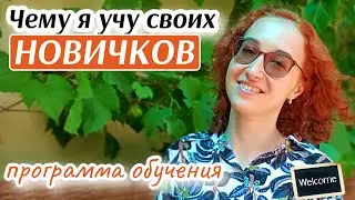Обучение моей команды / как я работаю с новичками / Сетевой бизнес с нуля