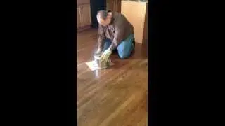 Attack of the Man-Eating Killer Mouse
