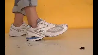 N47 Bug Crush Teaser - Sneakers and Cockroaches