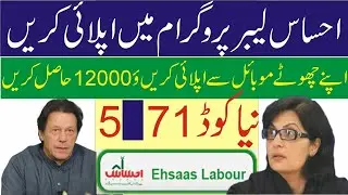 Ehsaas labour program online registration|ehsaas labour program code 2020|ehsaas labour program new