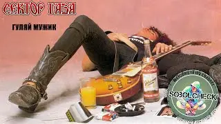СЕКТОР ГАЗА - ГУЛЯЙ МУЖИК COVER