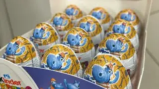 Hippos 2024!! New Kinder VQ Series Eggs