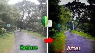 Photo Editing Snapseed | Rode Color Tune Editing Mobile | Ms Editing