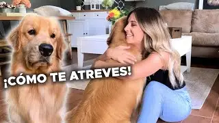 Abrazo a otro perro durante mucho tiempo | Reacción de perro celoso