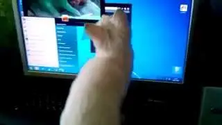 cat на ноутбуке