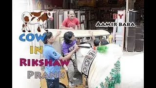 Cow In Rikshaw Prank Part (ii) | by Aamir Baba & Team | Bach Ke Rehna Re