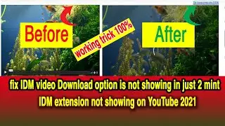 How to fix IDM video Download option is not showing 2021 |idm not working  for youtube|#idm