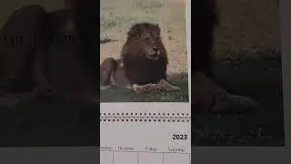 🇿🇦❣️🇿🇦