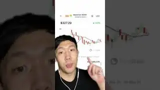 Why Polkadot should be the coin of choice right now! #shorts